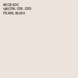 #ECE4DC - Pearl Bush Color Image
